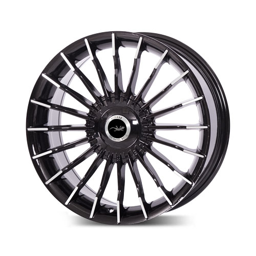 Lizardo XH1016