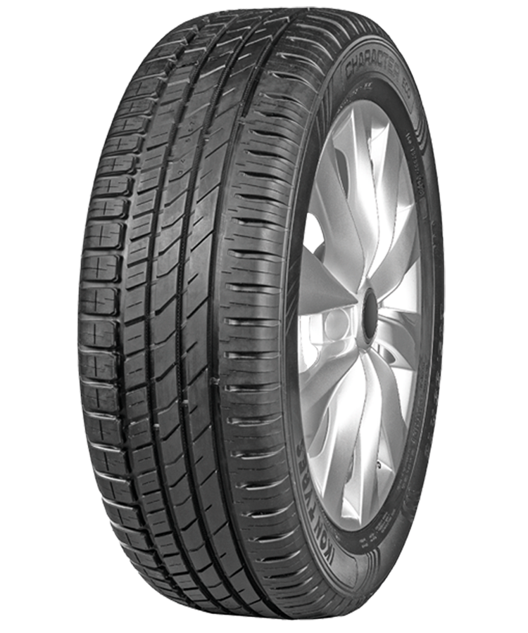 Ikon (Nokian Tyres) Character Eco (Nordman SX3) 205/55 R16 91H