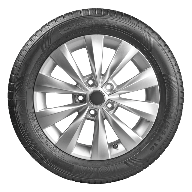Ikon (Nokian Tyres) Character Eco (Nordman SX3) 205/55 R16 91H заказать