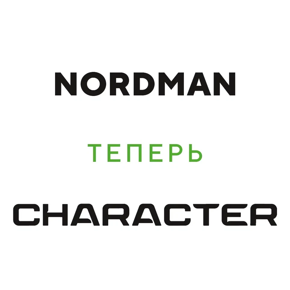 Ikon (Nokian Tyres) Character Eco (Nordman SX3) 205/55 R16 91H цена